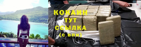 крисы Сатка