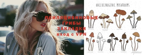 первитин Арсеньев