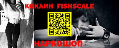 стафф Дубна