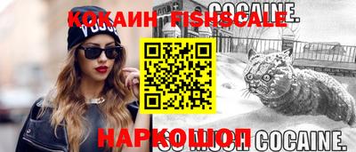 стафф Дубна