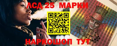 стафф Дубна