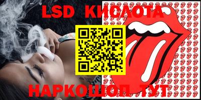 стафф Дубна