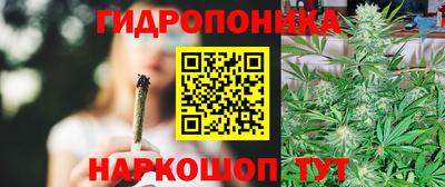 стафф Дубна