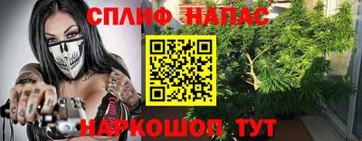 стафф Дубна