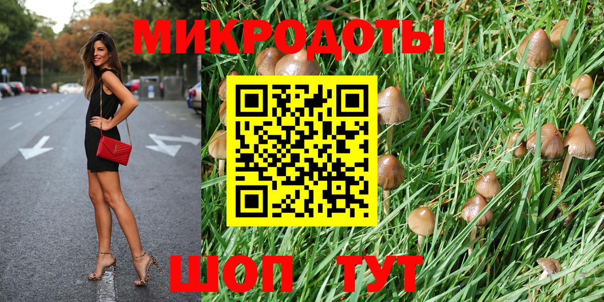 Менделеевск  Псилоцибиновые грибы мицелий  Вход с VPN 